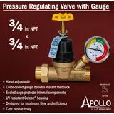 Apollo Pressure Regulating Valve with Gauge 3/4 in. NPT miniatura 2