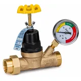 Apollo Pressure Regulating Valve with Gauge 3/4 in. NPT miniatura 7