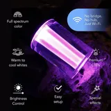 LIFX Outdoor SuperColor String Light - 12 LED Bulb String miniatura 4